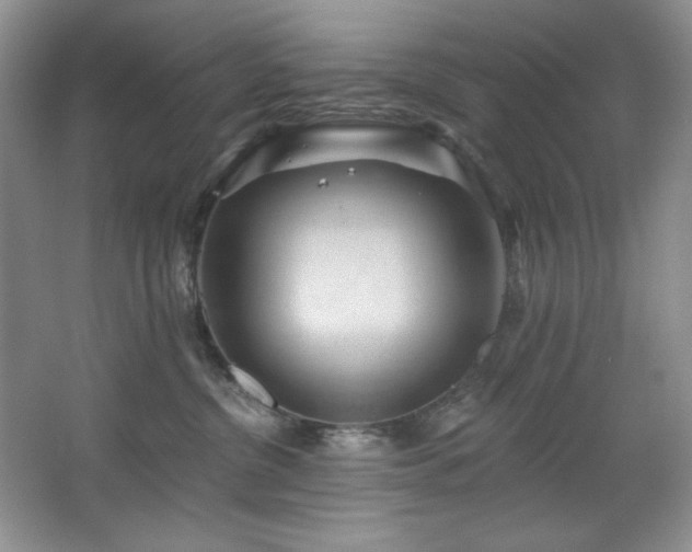 X0000067900380200604131401