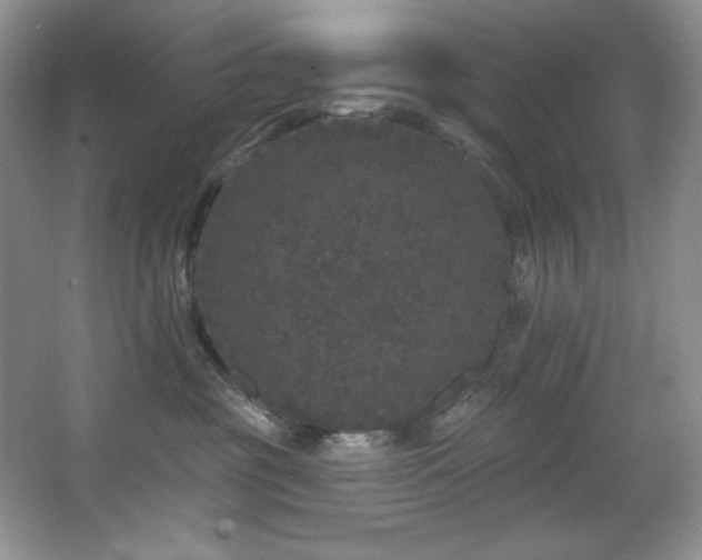 X0000067900381200604131401