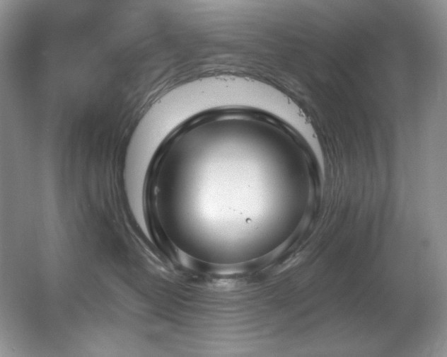 X0000067900382200604131401