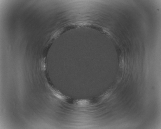 X0000067900383200604131401