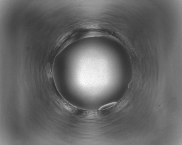 X0000067900384200604131401