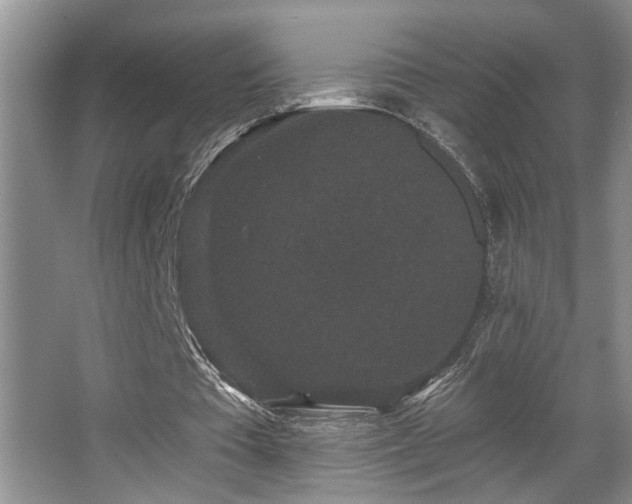 X0000067900385200604131400