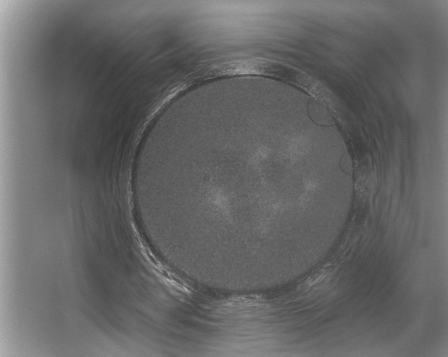 X0000067900386200604131400