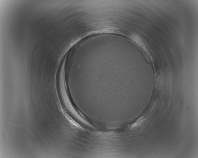 X0000067900389200604131400