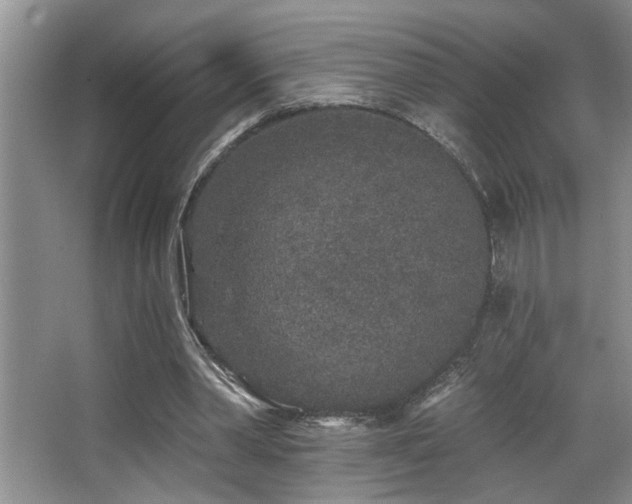 X0000067900390200604131400