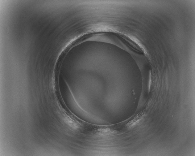 X0000067900391200604131400