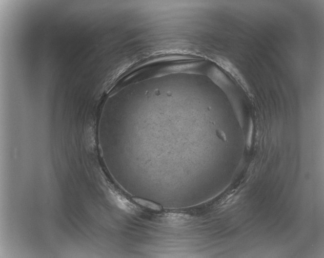 X0000067900393200604131400