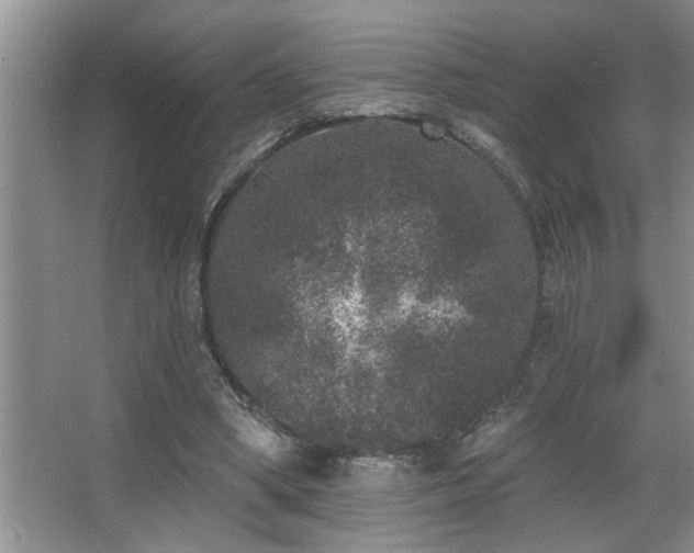 X0000067900394200604131400