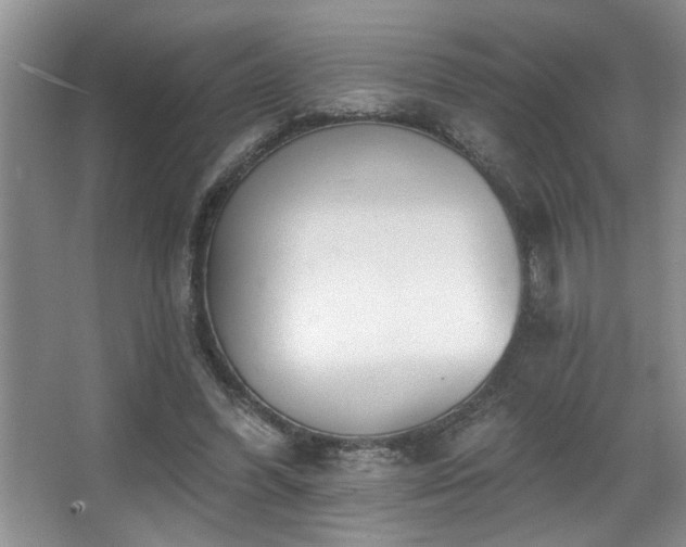 X0000067900396200604131400