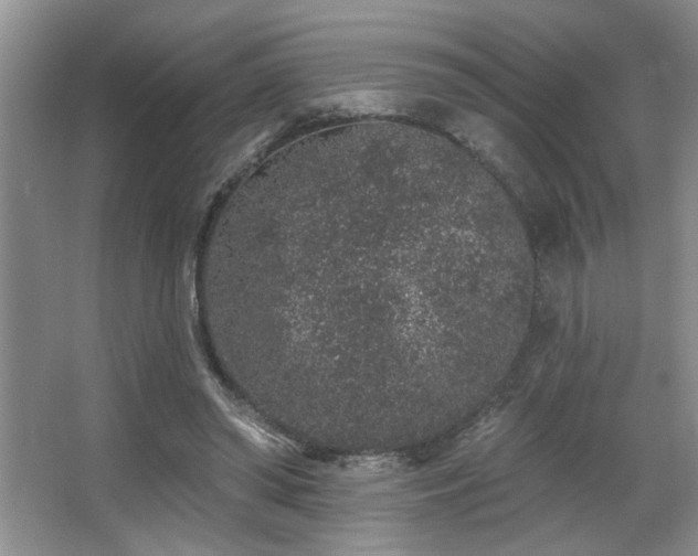 X0000067900398200604131400