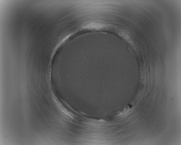 X0000067900399200604131400