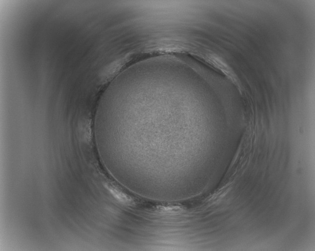 X0000067900401200604131400