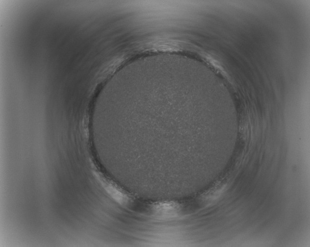 X0000067900402200604131400