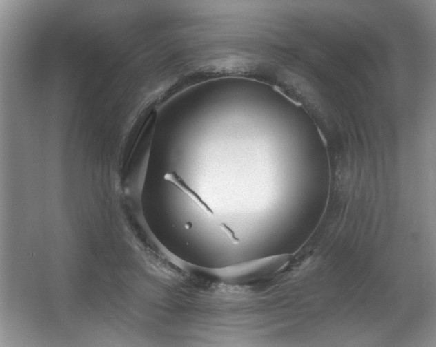 X0000067900403200604131400