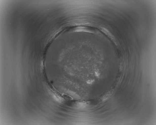 X0000067900405200604131400