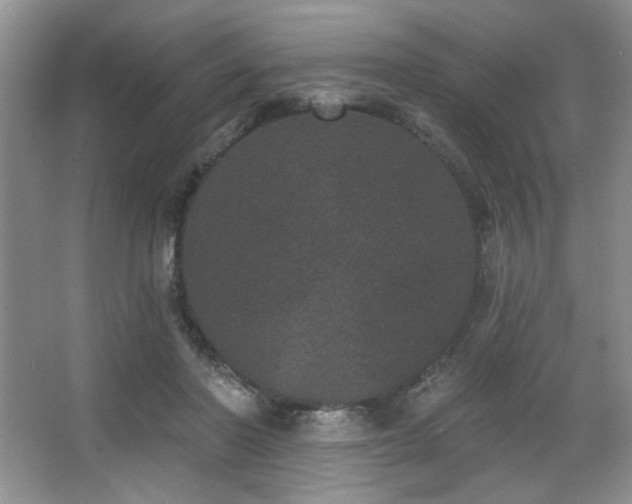 X0000067900406200604131400