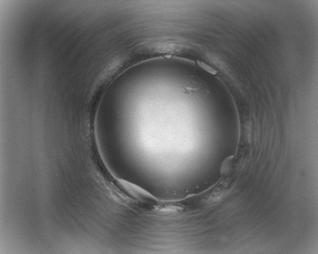 X0000067900407200604131400