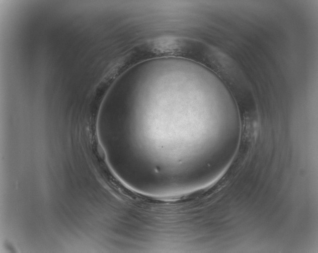 X0000067900408200604131400