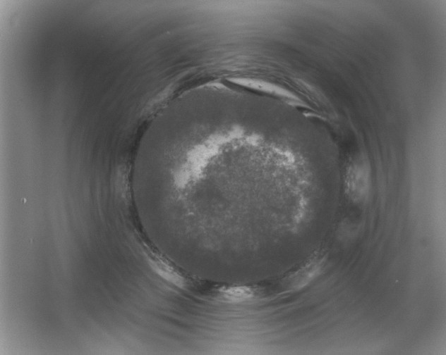 X0000067900409200604131359