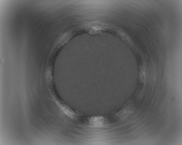 X0000067900410200604131359