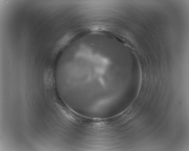 X0000067900411200604131359