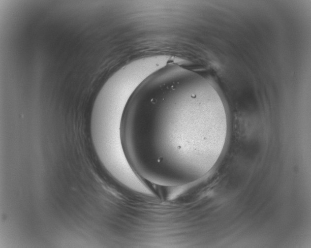 X0000067900412200604131359