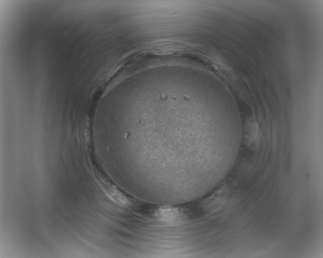 X0000067900413200604131359