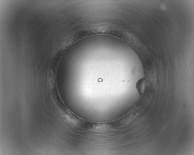 X0000067900414200604131359