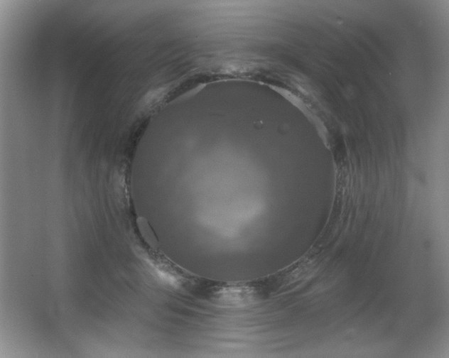 X0000067900415200604131359