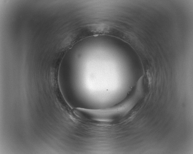 X0000067900416200604131359