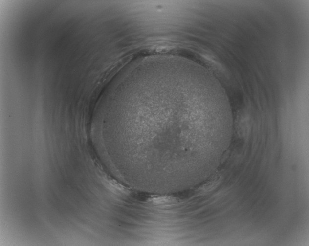 X0000067900417200604131359