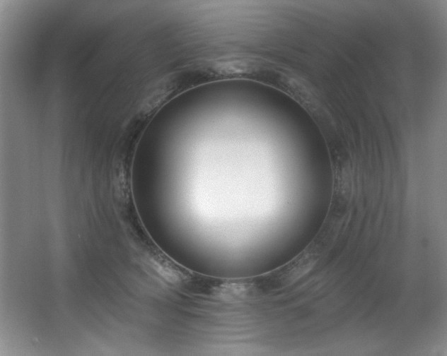 X0000067900418200604131359