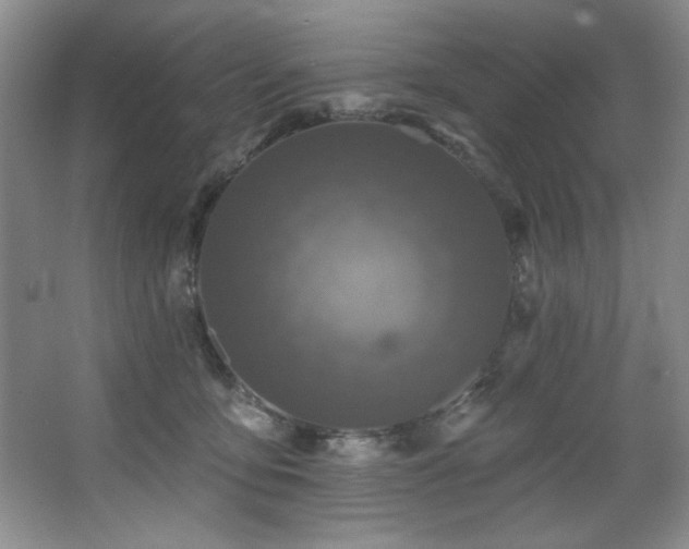 X0000067900419200604131359