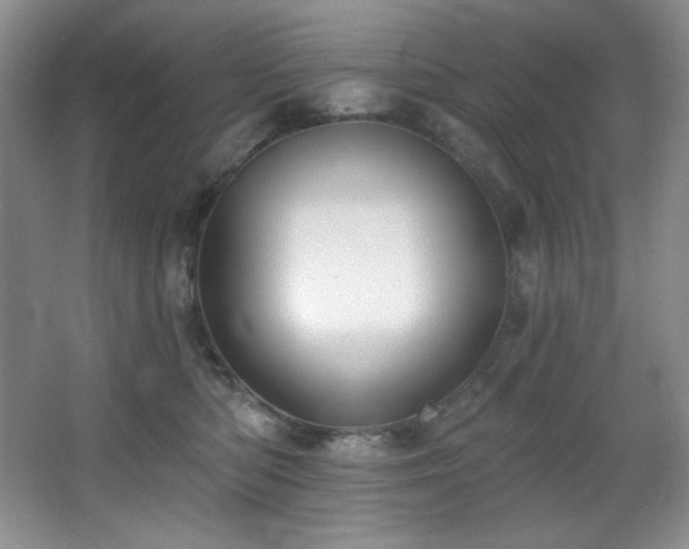 X0000067900422200604131359