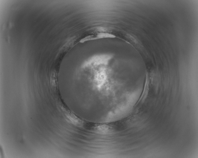 X0000067900423200604131359