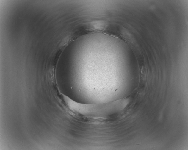 X0000067900425200604131359