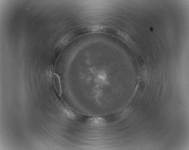 X0000067900427200604131359