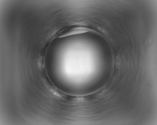 X0000067900428200604131359