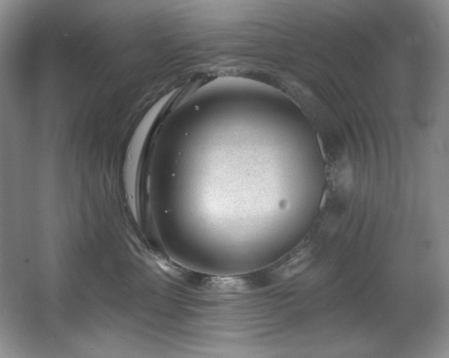 X0000067900429200604131359