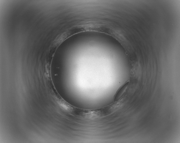 X0000067900430200604131359