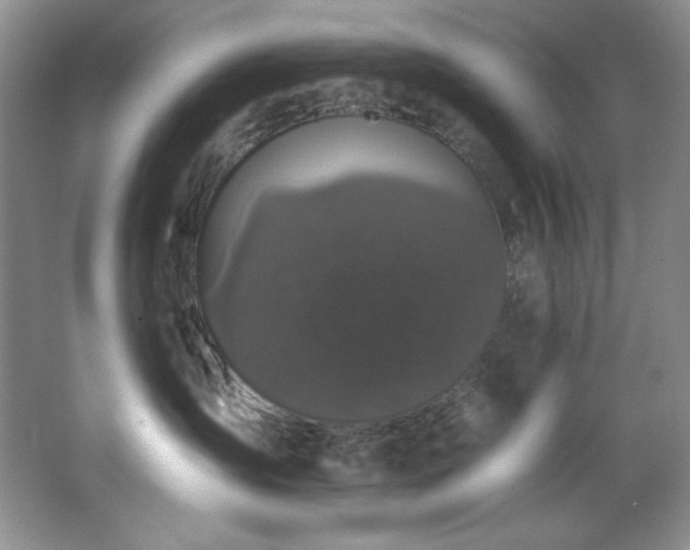 X0000067900431200604131359