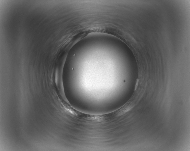 X0000067900432200604131359