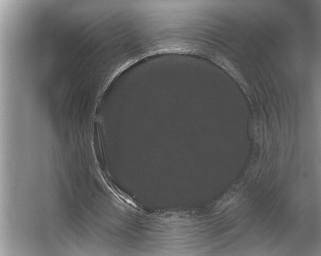 X0000067900434200604131358