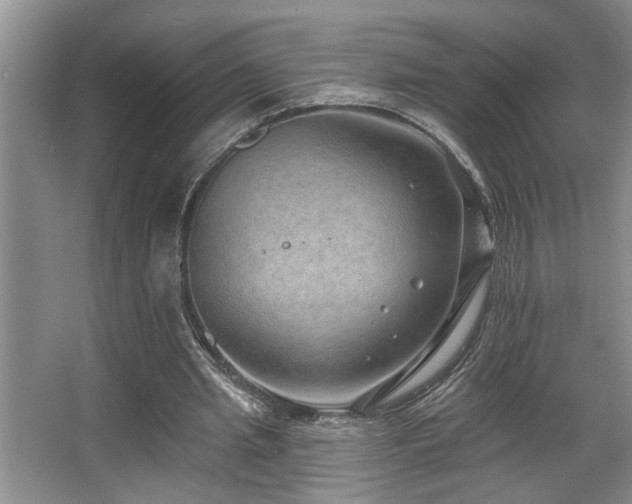 X0000067900437200604131358