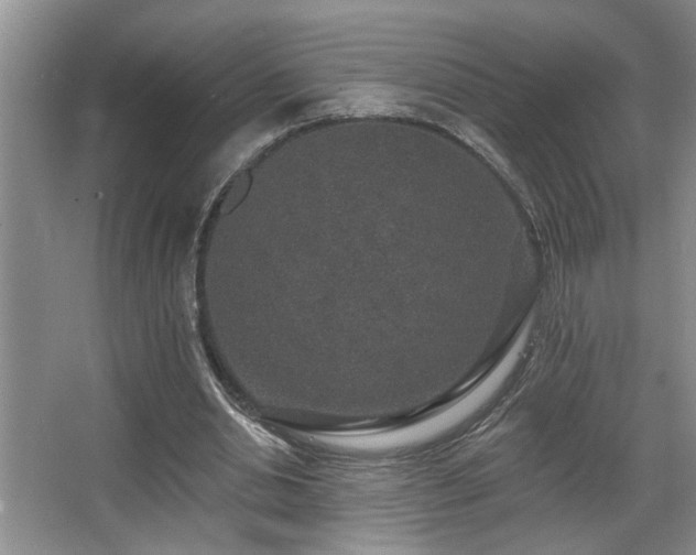 X0000067900438200604131358