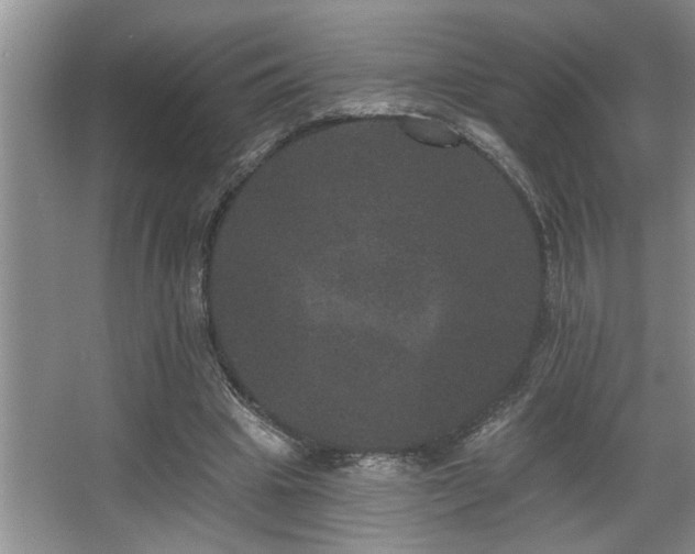 X0000067900441200604131358