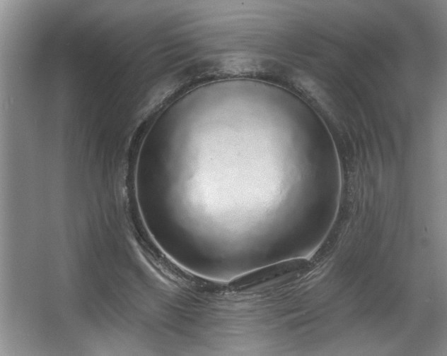 X0000067900443200604131358