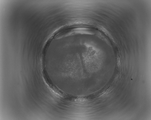 X0000067900444200604131358