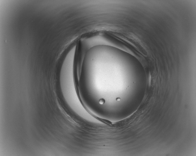 X0000067900448200604131359