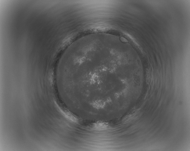 X0000067900451200604131359